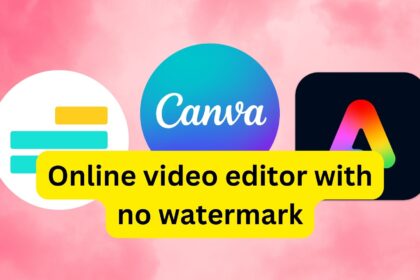 Online video editor with no watermark